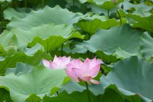 水濂山森林公园